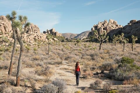 Tagestour zum Joshua Tree Nationalpark ab Los Angeles