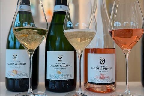 Premier Cru wijngaard en drievoudige proeverij in Montagne de Reims