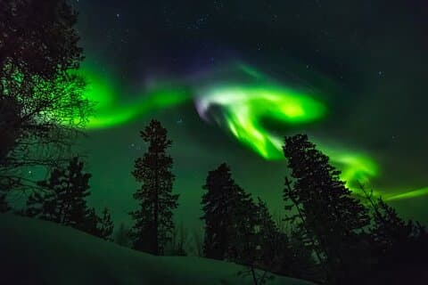 Levi Northern Lights Experience