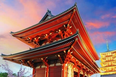 Tokyo Heldagstur i privatstaden