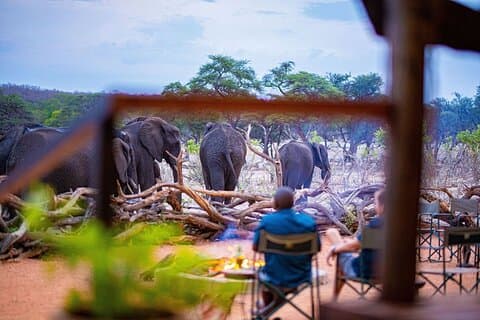 6 nætter Hwange National Park, Victoria Falls & Chobe National Park-pakke