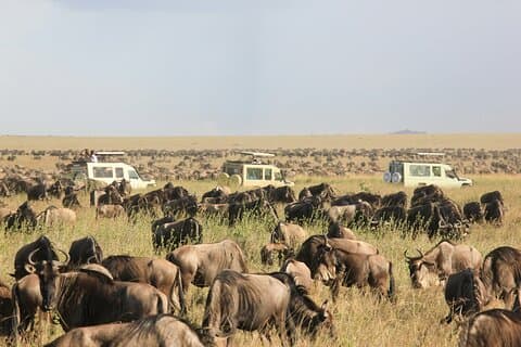 Hotell i nærheten av Lake Manyara Serengeti and Ngorongoro Safari