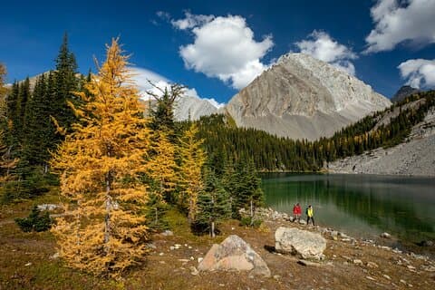 EXPLOREZ les sentiers cachés et les sites locaux de Canmore - Randonnée de 3H