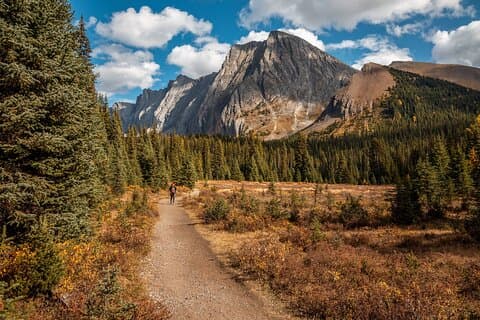 PRIVATE Canmore Guided Nature Walk Tour 3.5hrs
