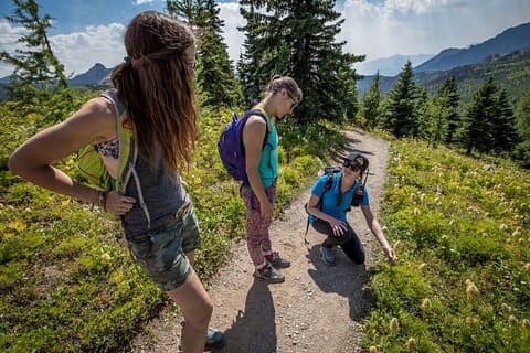 BANFF Caminata por la naturaleza de plantas medicinales y comestibles - 2 horas