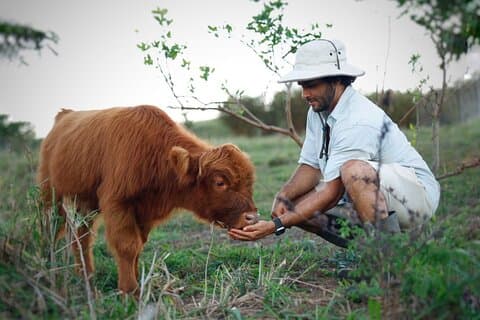 Kauai Private Baby Farm dyreopplevelse og mikroleggdykning