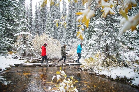 Canmore Winter Walk: Including Ice Cleats + Transportation 2.5hrs