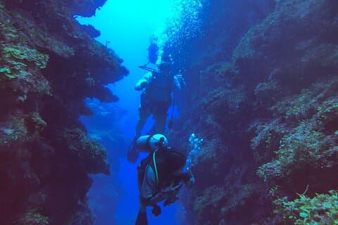 Plongez dans la barrière de corail Ambergris Caye Belize en petit groupe