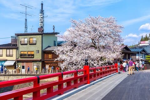 Private Guided Tour from Nagoya to Takayama and Shirakawa-go