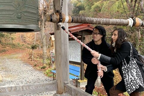 Tokyo : tour in auto della valle di Chichibu ai templi buddisti