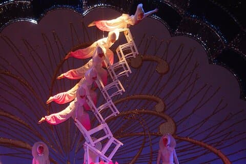 Beijing nat tur for akrobatiske show & Peking Duck