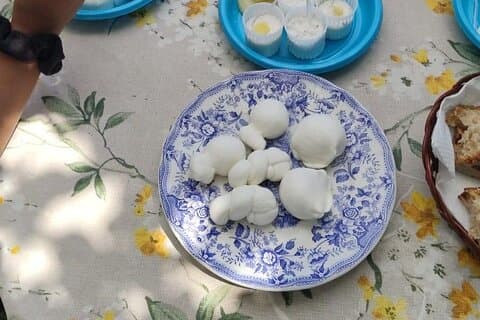 Pompei Tour and Cheese Making Experience