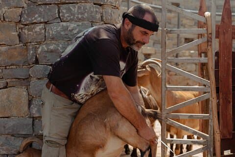 Kreta : Herder voor een dag - Signature Experience