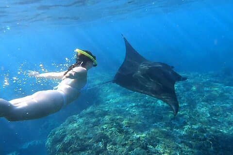 Nusa Penida Snorkeling con Manta Bay e Land Tour