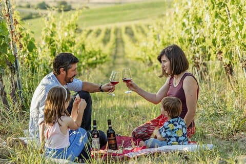Picnic i de økologiske vingårdene i Brunello