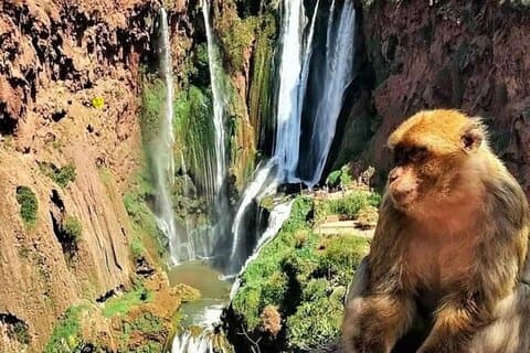 Ouzoud-watervallen dagtour vanuit Marrakech