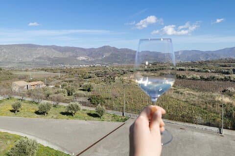 2 Mt Etna Wineries Experience from Taormina