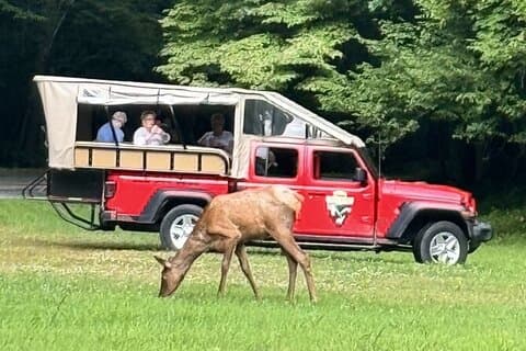 Excursion en jeep à Smoky Mountain Elk et cascade