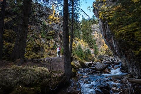 Tour a pie por el agua termal de Banff y las cascadas ocultas