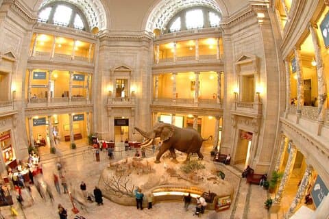 Gemeinsame Smithsonian Museum Tour Erfahrung