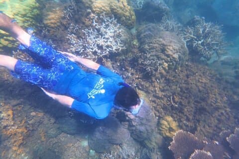 Kayak and Snorkel Tour Half Day