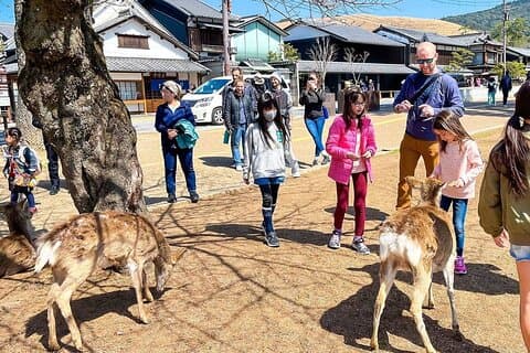 Tailor Made 13 Days Japan Family Vacation, Private Guide