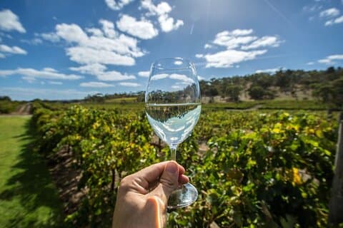 Barossa Valley Wine Tour Tastings and Lunch Included