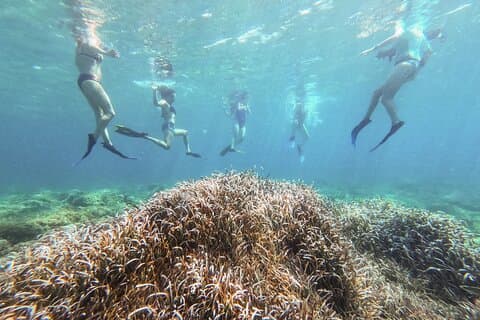 Das Geheimnis der Posidonia-Kayak&Snorkel Tour