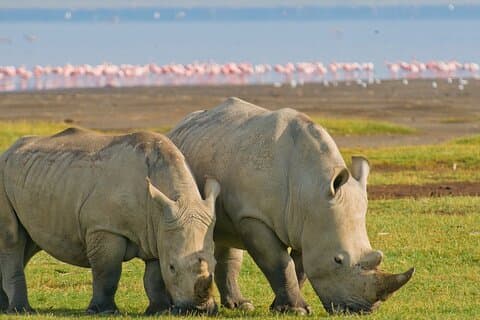 Maasai Mara 5 Day Private Tour Experience
