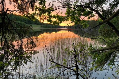 Stockholm: Randonnée au coucher du soleil dans le parc national de Tyresta avec repas