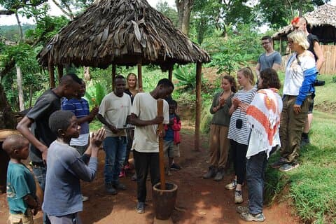 Experience Materuni Waterfalls and Kikuletwa Hot Springs