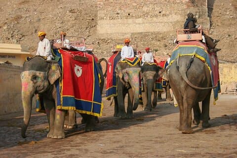 Excursión privada de un día a Jaipur Pink City desde Delhi