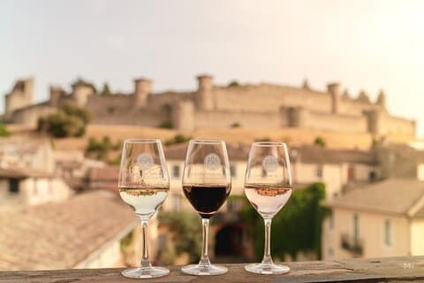 Discovery Tasting 3 viner