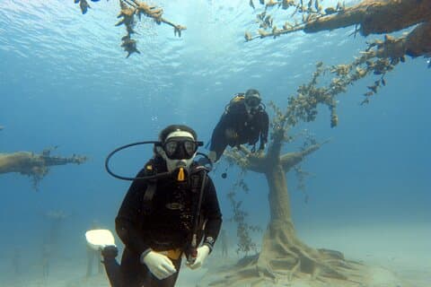 Ayia Napa: Begynderdykning på MUSAN - Underwater Museum