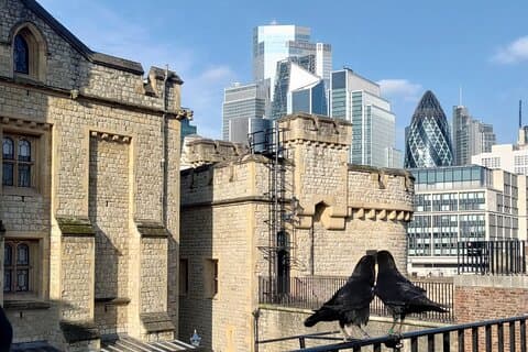 Tower of London och Tower Bridge privat tur