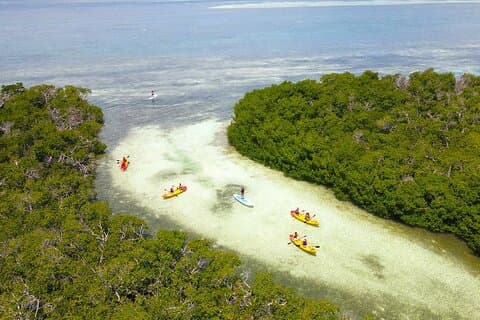 Key West Hidden Sanctuary Mangrove Kayak Tour avec boissons
