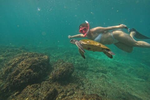 Full Day: Snorkeling Trip in Dibba Musandam to multi locations