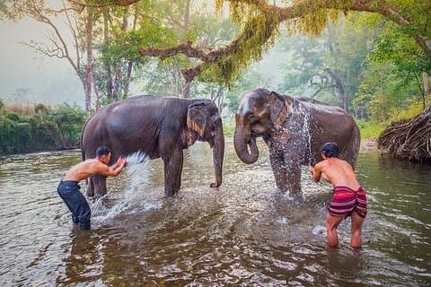 Excursão privada Elephant Haven Kanchanaburi de Banguecoque
