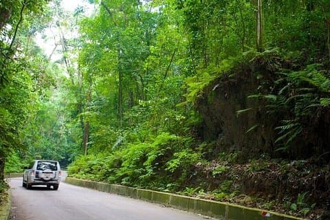 Ocho Rios Highlights und Shopping Tour