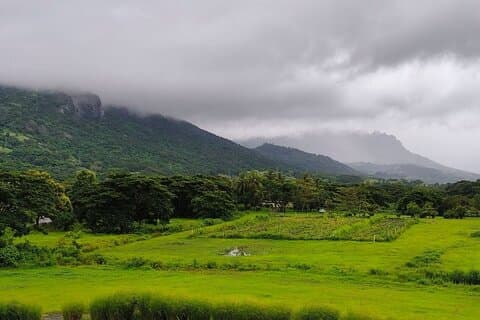Fiji Private Tour: Best of Nadi Highlights