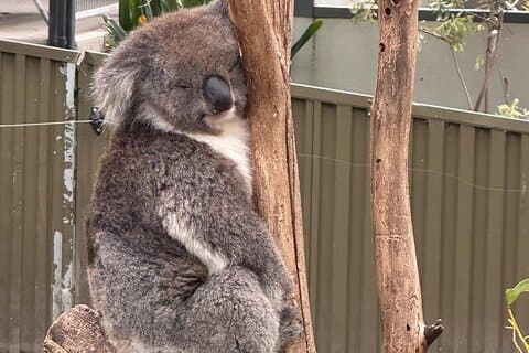 Hoteller i nærheden af Hahndorf & Hills Wildlife Wonders