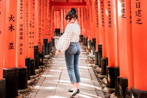Excursion d'une journée à Kyoto et Nara au départ d'Osaka ou Kyoto