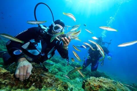 Explore Nha Trang Underwater: Coral Reef Scuba Diving