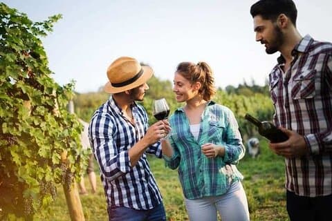 Seafarers' Village & Vineyard Visit, Wine Tasting - Half Day Tour
