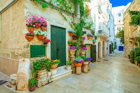 Private direct transfer from Naples to Bari with local driver