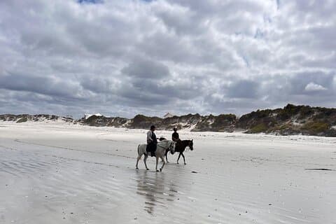 Paseo a caballo por la playa en Yzerfontein, Cabo Occidental