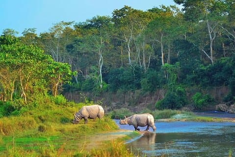 Chitwan Jungle Safari Pacchetto All-Inclusive 2 Notti 3 Giorni