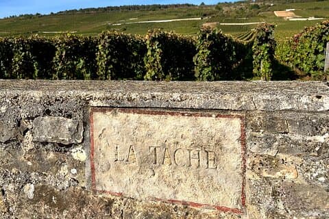 Discover the great wines of Vosne-Romanée