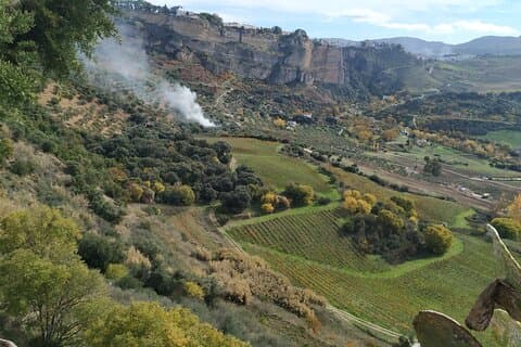 Visita guiada privada pela paisagem e vinhos de Ronda
