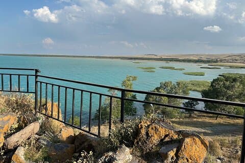 Gastronomisch bezoek aan Lake Sevan Kaas, verse vis en wijn